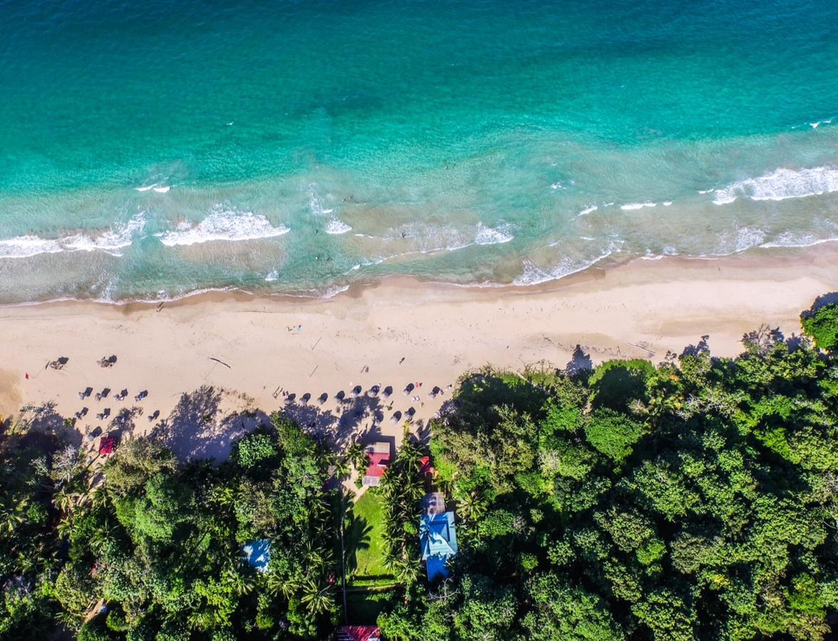 Red Frog Bungalows Surf Resort バスティメントス エクステリア 写真