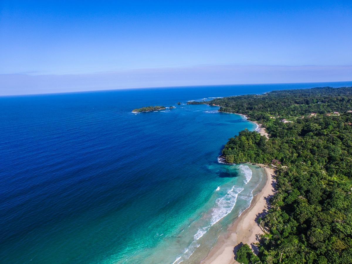 Red Frog Bungalows Surf Resort バスティメントス エクステリア 写真