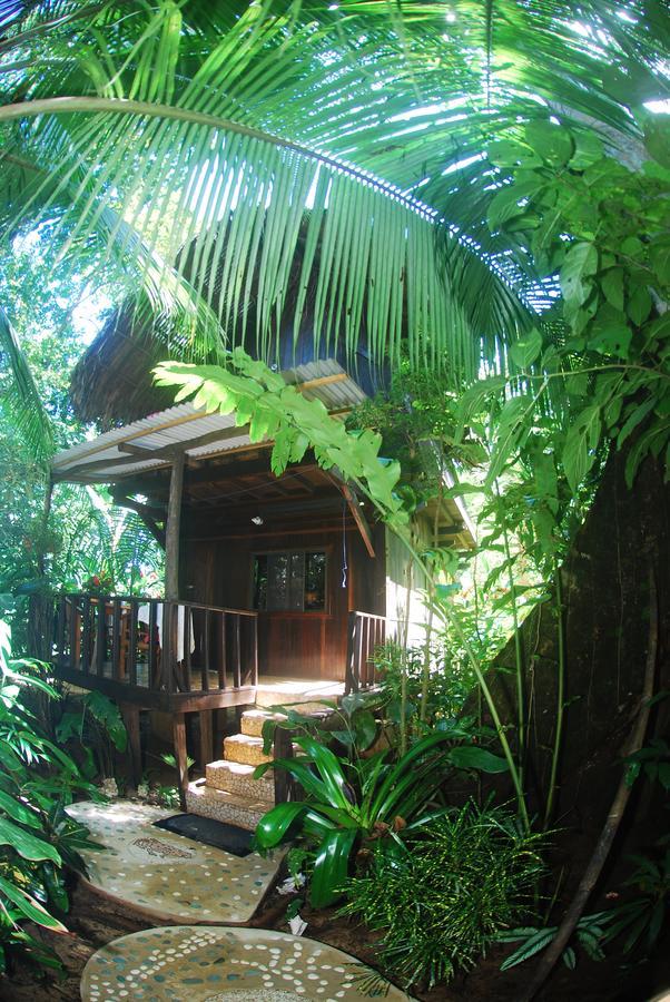 Red Frog Bungalows Surf Resort バスティメントス エクステリア 写真