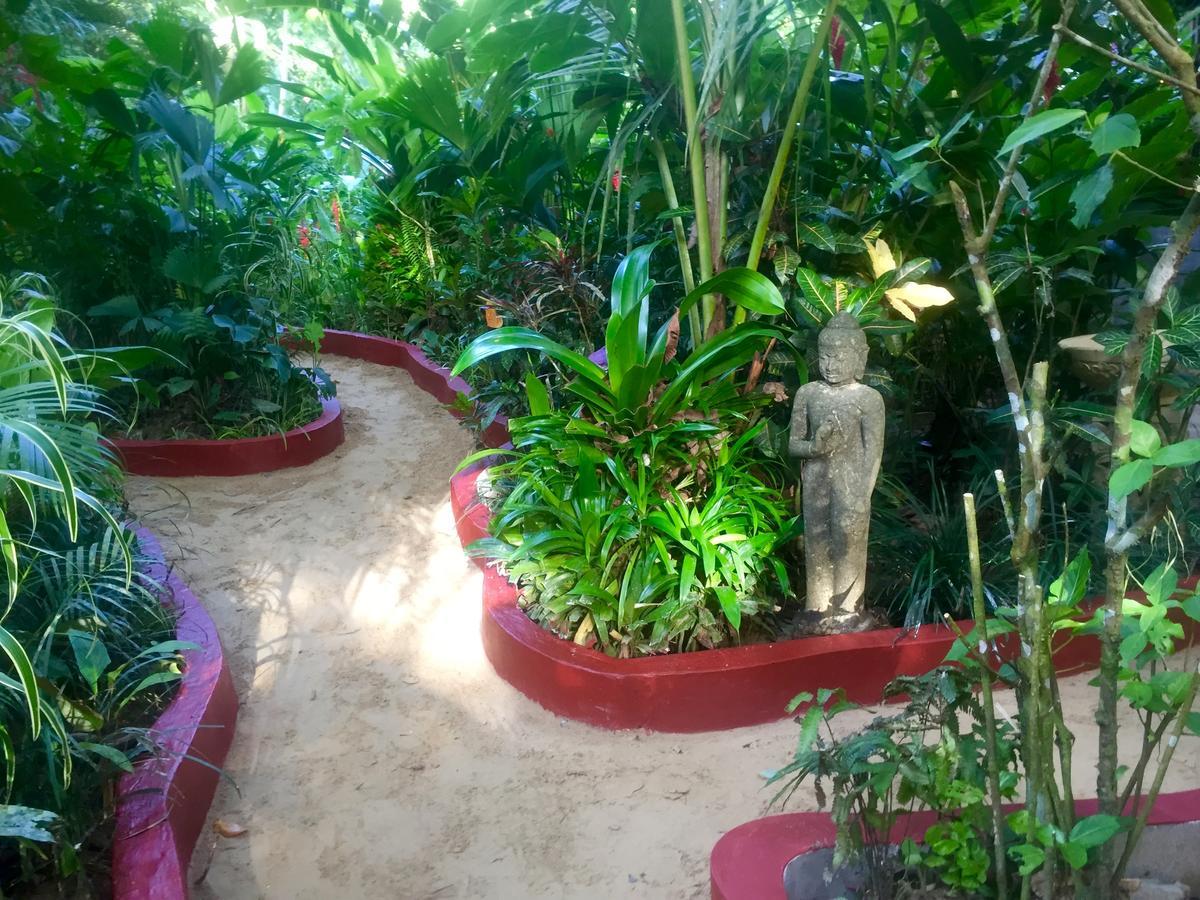 Red Frog Bungalows Surf Resort バスティメントス エクステリア 写真