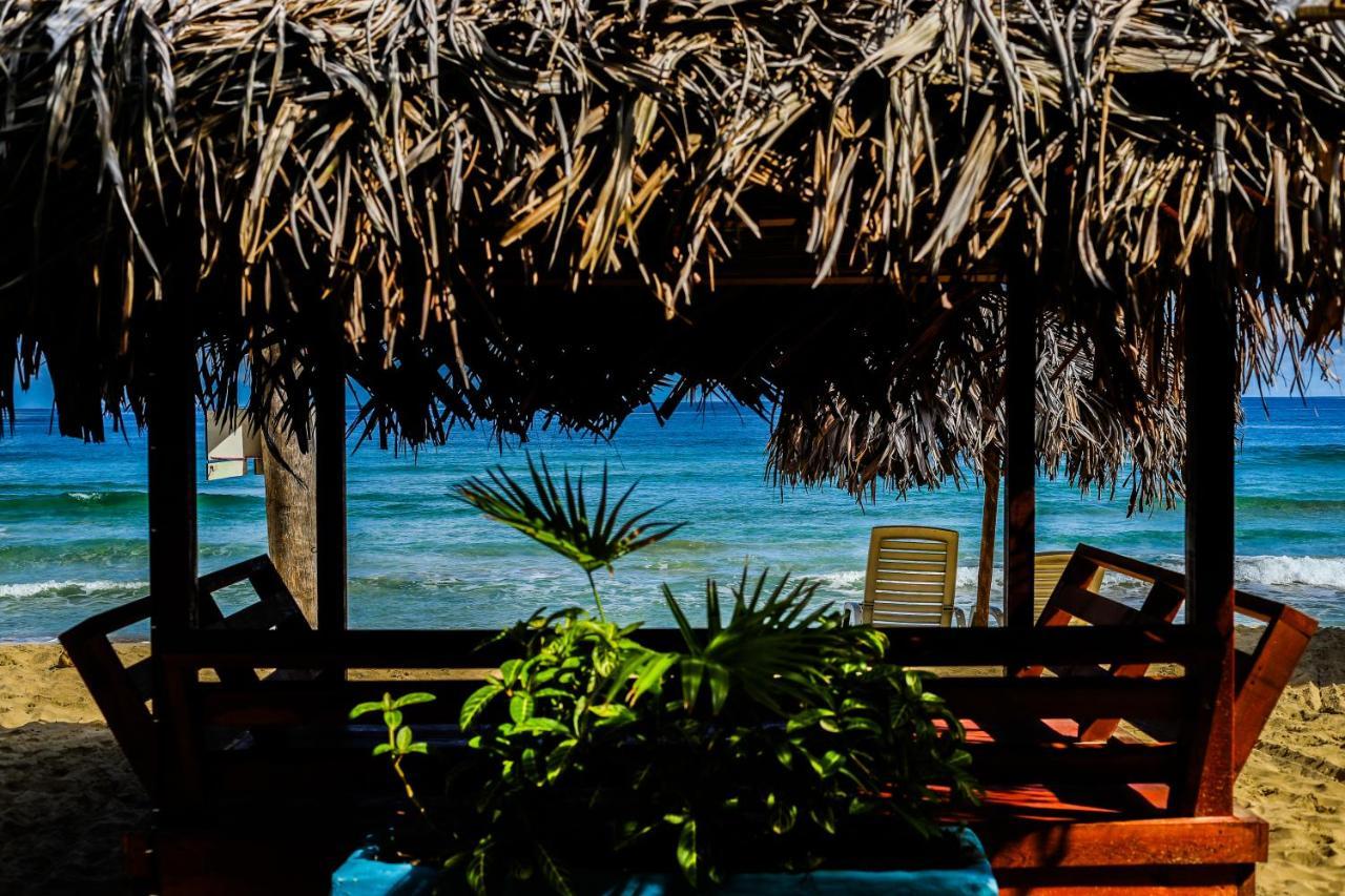 Red Frog Bungalows Surf Resort バスティメントス エクステリア 写真